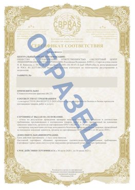 Образец Сертификат СТО 01.064.00220722.2-2020 Балахна Сертификат СТО 01.064.00220722.2-2020 